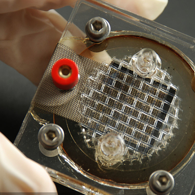 Reverberator Equipment Electronics Testing Labs Companies EMC LPS SELV Third-party testing and authentication services