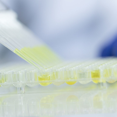 Food Glass Testing Labs Services Fda Accredited Laboratories Third-party authentication service